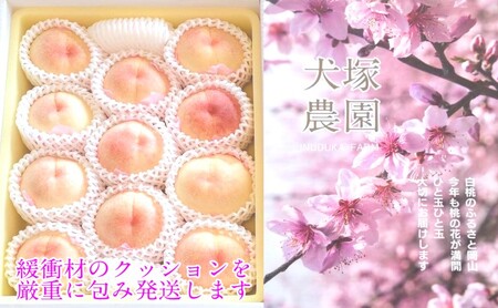 もも 2026年 先行予約 岡山匠の白桃 約3.4kg 11～12玉