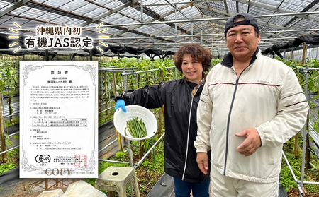 沖縄県内初！【有機JAS認定】オーガニック バニラビーンズ 4g×3袋