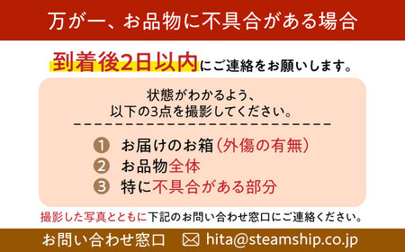 【先行予約・26年9月以降発送】日田梨 新高 5kg 梨[ARBB004]