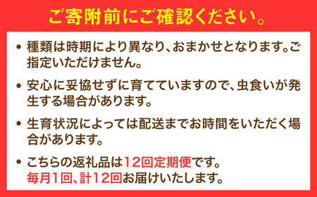 【全12回定期便】農家セレクト！特別栽培 日田の厳選食材 詰め合わせ 日田市 野菜 果物 米 産地直送 新鮮 セット[ARBR002]