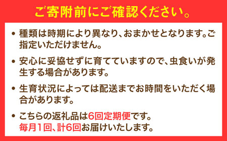 【全6回定期便】農家セレクト！特別栽培 日田の厳選食材 詰め合わせ日田市 野菜 果物 米 産地直送 新鮮 セット[ARBR003]