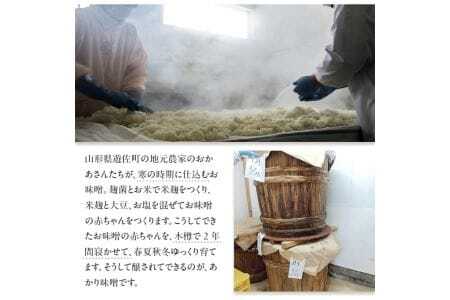 米味噌 あかり味噌 100g×10袋 計1kg 冷蔵便 ※離島発送不可 熟成 木樽仕込み 寒仕込み みそ クラフト味噌 小分け お試し 少量 東北 山形県 遊佐町 庄内 [1000]