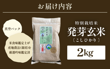 【令和7年産】発芽玄米 特別栽培米 コシヒカリ 2kg 【米 玄米 こしひかり ギャバ GABA 特別栽培 食物繊維 栄養 真空パック ごはん ご飯 おいしい ふるさと納税米】 [A-29100]