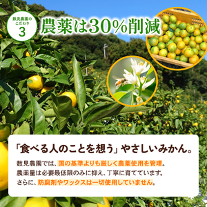 ゆら早生みかん 10kg ※2026年10月上旬頃～10月下旬頃に順次発送予定 ※沖縄・離島配送不可【kzmn003-r-10】