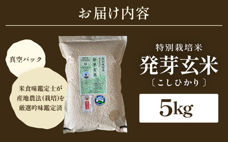【令和7年産】発芽玄米 特別栽培米 コシヒカリ 5kg 【米 玄米 こしひかり ギャバ GABA 特別栽培 食物繊維 栄養 真空パック ごはん ご飯 おいしい ふるさと納税米】 [B-2949]
