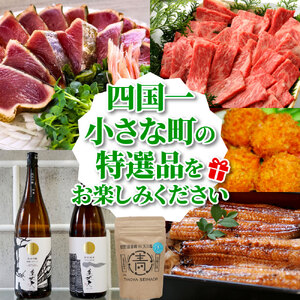 返礼品は後からゆっくり選べる寄附コース★D★ あとから選べる おすすめ 人気 カツオのたたき うなぎ 肉 酒 塩 魚 500000円