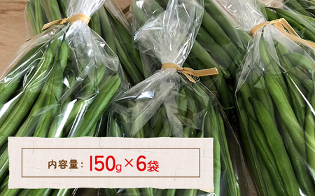 【2026年7月以降順次出荷】さやいんげん 150g×6袋 北海道 豊浦町 