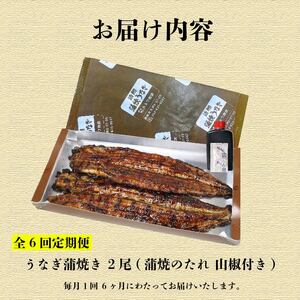 うなぎ 蒲焼 大姿焼き 2尾 140g×2 【全6回定期便】 | 鰻 鰻
