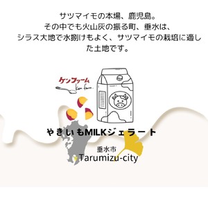 A1-7003／【ふるさと納税限定品】やきいもMILK アイスクリーム　500ml×2個