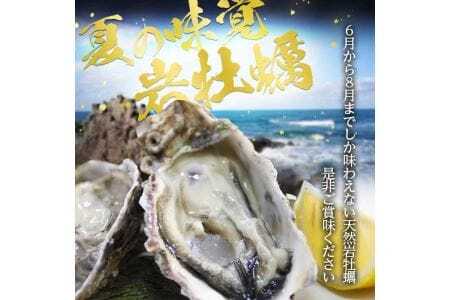 天然岩牡蠣 約1kg 3～5個入 殻付き 山形県遊佐町吹浦産 6月上旬～8月下旬頃お届け 冷蔵便 ※着日指定・離島（沖縄県を含む）発送不可 カキ かき 岩かき お取り寄せ 日本海 東北 庄内 鮮魚 新鮮 [1471]