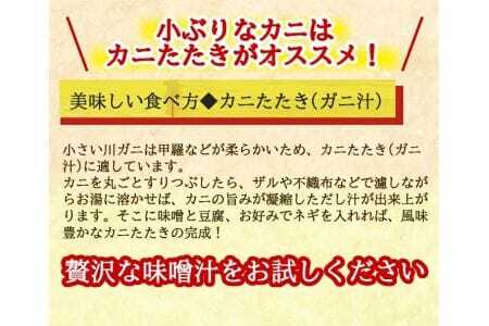 生・天然モクズガニ 1.7kg以上 小ぶりサイズ 17～24匹 オス・メス混合 山形県庄内産 9月中旬～12月上旬頃順次発送 冷蔵便 ※着日指定・離島（沖縄県を含む）発送不可 カニ 蟹 かに 川ガニ 新鮮 鮮魚 まるごと 姿 カニみそ 味噌汁 蒸し蟹 期間限定 [972]
