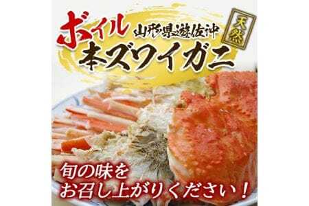 ボイル 本ズワイガニ 1匹 500g程度 遊佐沖 10月中旬～12月下旬頃お届け 冷蔵便 ※着日指定・離島（沖縄県を含む）発送不可 東北 山形県 遊佐町 庄内地方 日本海 カニ 蟹 海産物 シーフード 海鮮 新鮮 まるごと ボイル 焼き 期間限定 お取り寄せ ゆで 茹で [974]