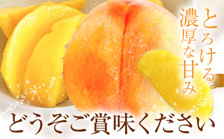 黄金桃 約3.8kg 花田青果株式会社 桃