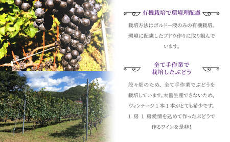 東御市産赤ワイン HIRO 飲み比べセット(2023,2019)｜メルロー　ワインワインワインワインワインワインワイン