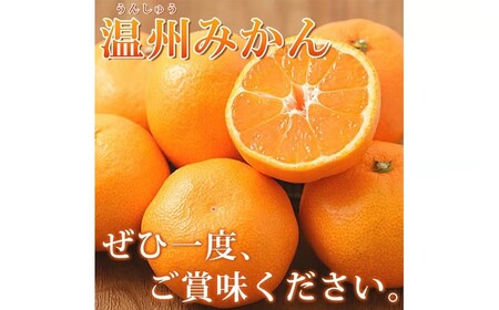 【先行予約】有田の小玉みかん5kg(S～3Sサイズ混合)◇｜みかん ミカン 柑橘 果物 くだもの フルーツ 甘い 小玉 先行予約 国産 濃厚 絶妙 糖度 酸味 産地直送 美浜町