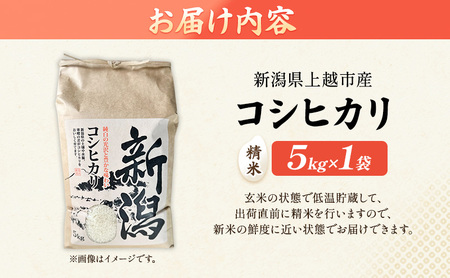 令和7年 新潟県上越市産 コシヒカリ（特別栽培米） 5kg 5キロ 米 こしひかり 山本農園 ご飯 精米 新潟 上越
