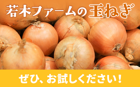 北海道産 玉ねぎ 約5kg サイズ混合《10月中旬-1月中旬順次出荷》若木ファーム 送料無料  十勝 本別町産