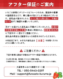 【2026年12月より順次発送】福岡県エコ農産物認定　堀農園のあまおう400g_ いちご〔Fi074〕