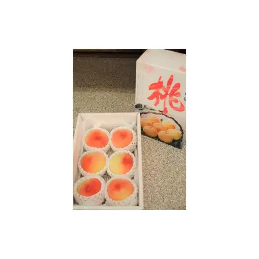 草間台の朝採れ白桃1箱 約2kg 6玉 【先行予約 7月下旬から発送】