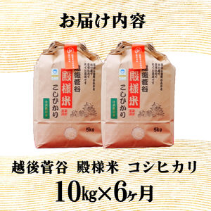 【定期便】令和7年産 コシヒカリ 殿様米 10㎏×6ヵ月 新潟県 新潟産 新発田産 米  玄米 コシヒカリ 特別栽培米 越後菅谷米販売 10kg 6ヵ月 60kg 定期便 殿様 数量限定 D17_02