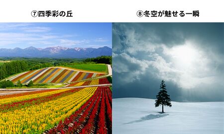 写真家　阿部俊一　額付き写真 [036-35]
