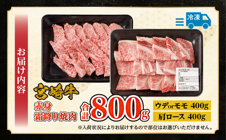 牛肉 焼肉 牛肉[宮崎牛 赤身・霜降り セット 800g]