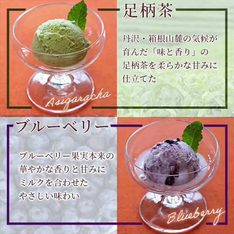 【8個入り】 自社農園で栽培した果物でつくった旬なアイスをお届け（味はお任せ）【 果物 フルーツ 旬 食品添加物不使用 カップアイス シャーベット フルーツアイス ギフト プレゼント 詰め合わせ 神奈川県 南足柄市 】