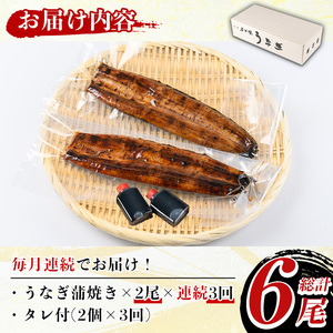 《定期便・全3回》国産！うなぎ蒲焼き(2尾×3回・タレ付き) 国産 九州産 鹿児島県 宮崎県 鰻 ウナギ unagi うな重 うな丼 ひつまぶし うなじゅう 蒲焼 かばやき 無頭 魚 魚介類 土用 丑の日 タレ タレ付 おかず 惣菜 冷蔵 特産品 お土産 ギフト プレゼント ご贈答用 真空パック 湯煎 レンジ 簡単調理 定期 毎月【尾方屋】_y490