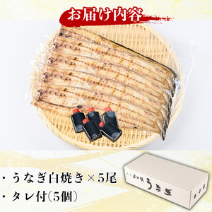 国産！うなぎ白焼き(5尾・タレ付き) 国産 九州産 鰻 ウナギ 無頭 魚 魚介類 かばやき 蒲焼 蒲焼き しろやき 白焼 おかず 特産品 お土産 ギフト プレゼント 冷蔵【尾方屋】_y489