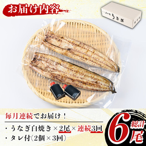 《定期便・全3回》国産！うなぎ白焼き(2尾×3回・タレ付き) 国産 九州産 鰻 ウナギ 無頭 魚 魚介類 かばやき 蒲焼 蒲焼き しろやき 白焼 おかず 特産品 お土産 ギフト プレゼント 冷蔵 定期便【尾方屋】_y491