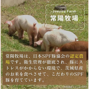 茨城県産のお米を食べて育った常陽さん家の美味豚(SPF豚)ロース＆バラ肉セット 焼肉用 2kg | 国産 豚肉 小分け 2㎏ 豚バラ 豚ロース しゃぶしゃぶ 豚バラスライス 豚 人気 冷凍 茨城県 龍ケ崎市
