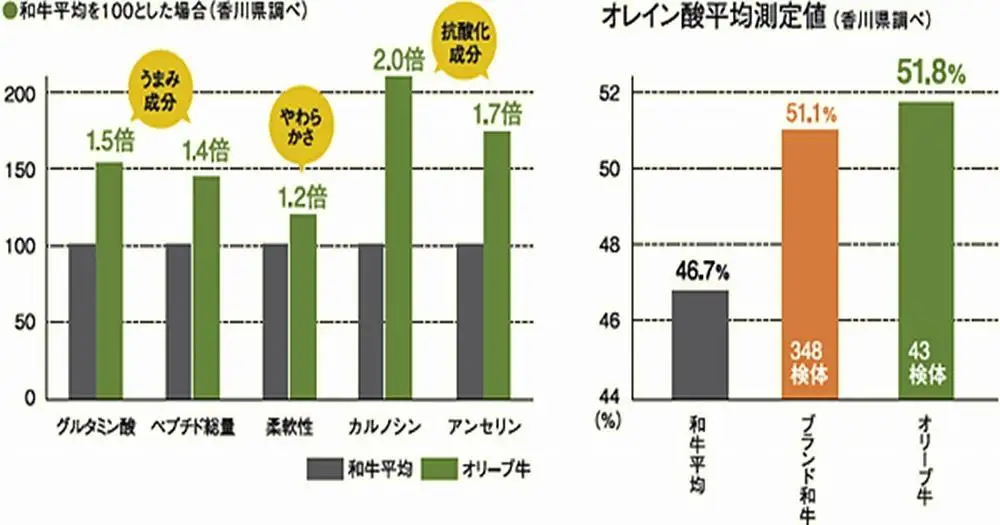 オリーブ牛100％肉汁ハンバーグ4枚(120g×8枚)セット | ハンバーグ