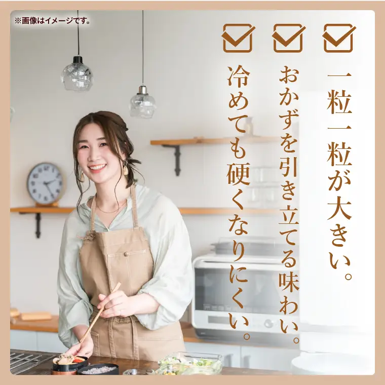 【人気2銘柄食べ比べ】令和7年産 茨城県産 あきたこまち・ふくまる　5kg×各1袋（計10kg）【お米 米 コメ こめ たべくらべ 】(AL273)