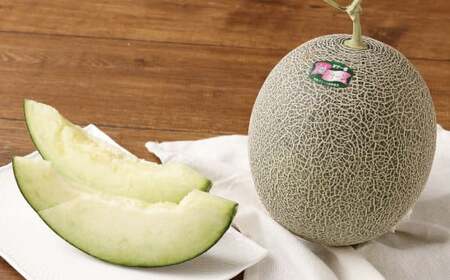 肥後グリーンメロン 2玉（4.2～4.5kg）【2026年7月上旬～8月上旬発送予定】メロン フルーツ 果物 くだもの 熊本県産 国産