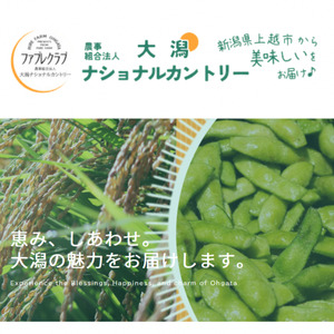 【おおがた豆】塩茹で 冷凍 枝豆 茶豆 新潟県上越市産 250g×4袋 計1kg 採れたて 急速冷凍 えだまめ おつまみ ビール お酒 大潟ナショナルカントリー