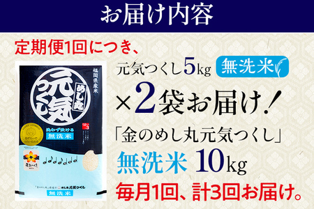 【無洗米】 令和7年産 金のめし丸 元気つくし 合計30kg 10kg (5kg×2袋) ×3回 定期便 白米 精米