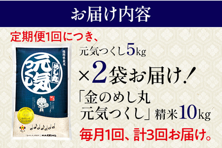 令和7年産 金のめし丸 元気つくし 合計30kg 10kg (5kg×2袋) ×3回 定期便 白米 精米 お米 ご飯 米 精米 お取り寄せ 福岡 お土産 九州 福岡県産 グルメ 福岡県