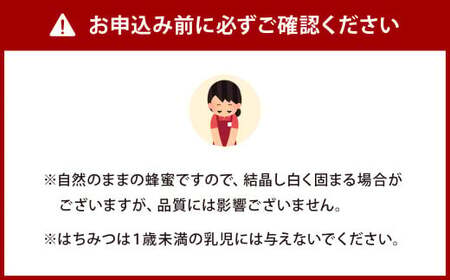 日本ミツバチ はちみつ （百花蜜） ｜ はちみつ ハチミツ 百花蜜 蜂蜜 ハニー 国産