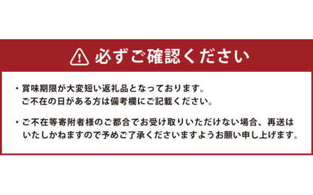 ハウス巨峰 1.2kg（300g×4パック） ブドウ 葡萄 巨峰 果物 くだもの フルーツ 果実 デザート  【2026年7月下旬～9月上旬発送予定】