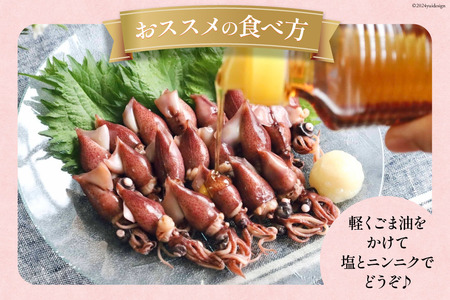 釜茹でほたるいか 100g × 2パック [聖徳丸 富山県 朝日町 34310453] 冷凍 ホタルイカ ほたるいか イカ いか