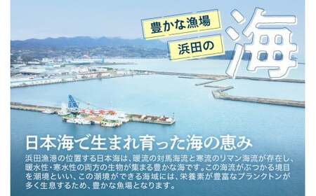 【定期便】どんちっち浜田【至高】の鮮魚 10回～最高級この男シリーズ～ 【006_2052】
