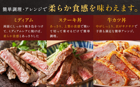 肉 牛肉 鹿児島県産 黒毛和牛 ヒレステーキ 2種盛り ステーキ サイコロ 660g LRプラスK 《90日以内に出荷予定(土日祝除く)》鹿児島県 さつま町