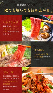 鹿児島県産黒毛和牛切落し250ｇ×3パック LRプラスK 《90日以内に出荷予定(土日祝除く) 》 鹿児島県産 A5 黒毛和牛 和牛 切落し 250ｇ×3パック 計750g