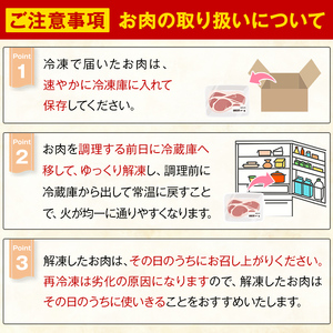 K-370-A かごしま味わい黒豚 焼肉ファミリーパック(合計1.2kg)【ふるさと産直バザール】霧島市 ロース バラ モモ ウデ 焼き肉 ヤキニク 豚肉 国産 鹿児島県産 肉 精肉 小分け セット 食べ比べ