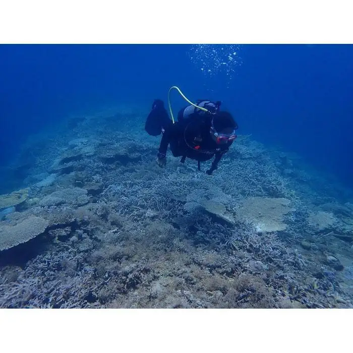 透明度抜群！　奄美大島でボートダイビング（２ボート）