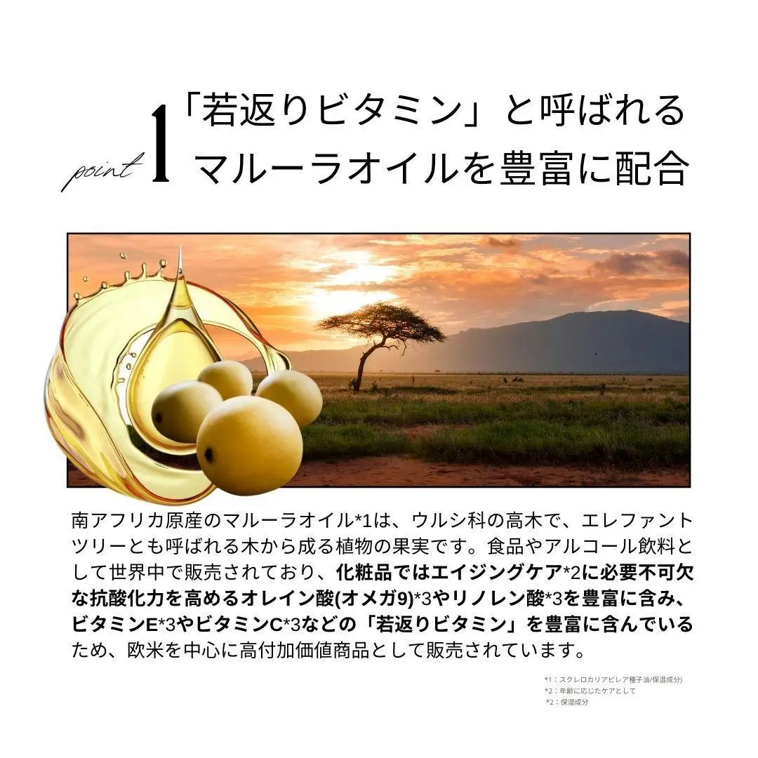 【サロン専売品】テクニカ スタイリッシュヘアケアオイル 100ml×3