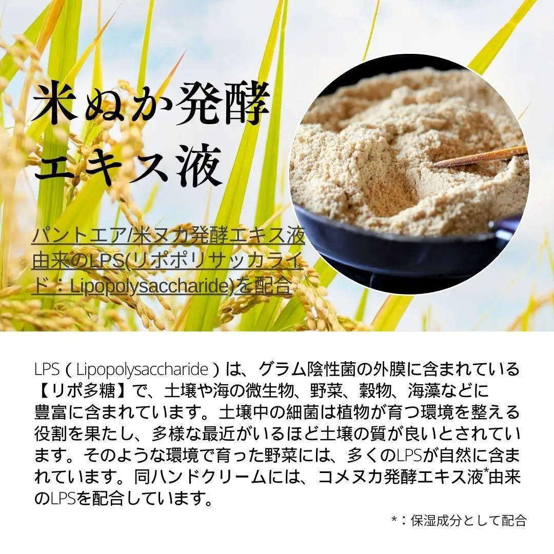 【サロン専売品】テクニカ ウォータープルーフハンドクリーム 50g×5