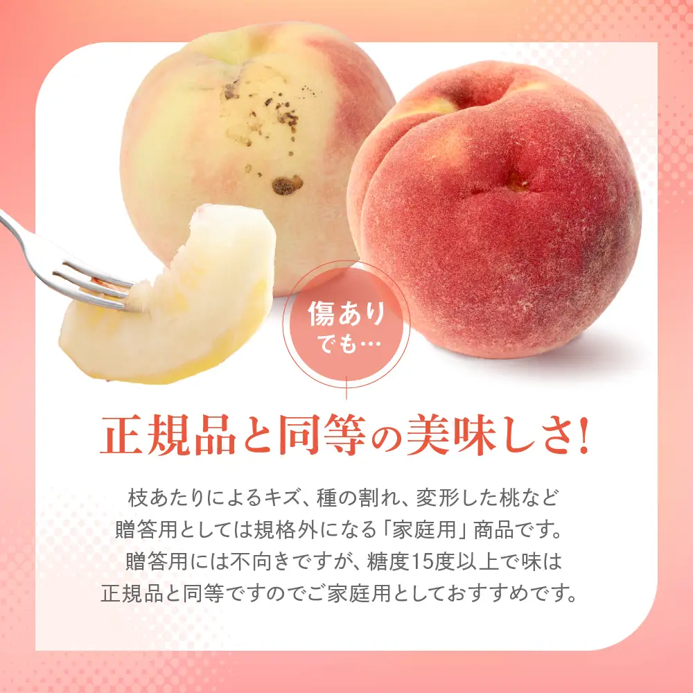 【ふるなび限定】訳あり 桃 飛騨の桃（4-8玉）FN-Limited-PR