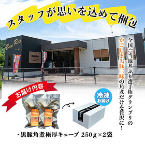 黒豚角煮極厚キューブ 計500g(250g×2袋) 黒豚 肉 豚肉 国産 九州産 角煮 おつまみ 惣菜 おかず a0-365