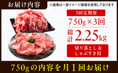 【3回定期便】【訳あり】しゃぶしゃぶ すき焼き 750gセット / 牛肉 お肉 すき焼き  [AFBO031] 